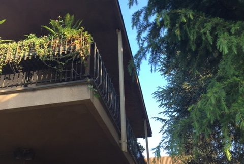 Villa in vendita – Torino - Nest Immobiliare